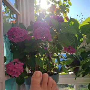 Kaffee am Morgen in der Sonne auf dem Balkon