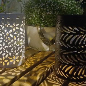 Lauschiger Sommerabend