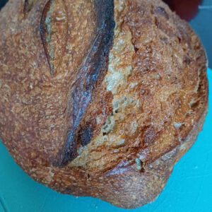 Das ist "Willi" - eins der Sauerteigbrote von 