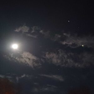 Fast Vollmond 