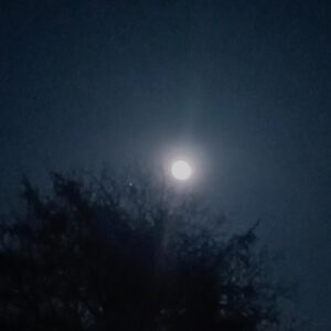 Vollmond über der Wakenitzstraße in Lübeck