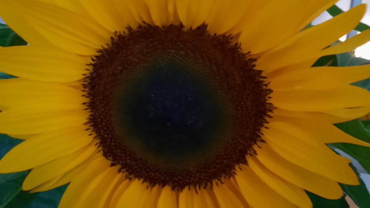 12 von 12: August 2025