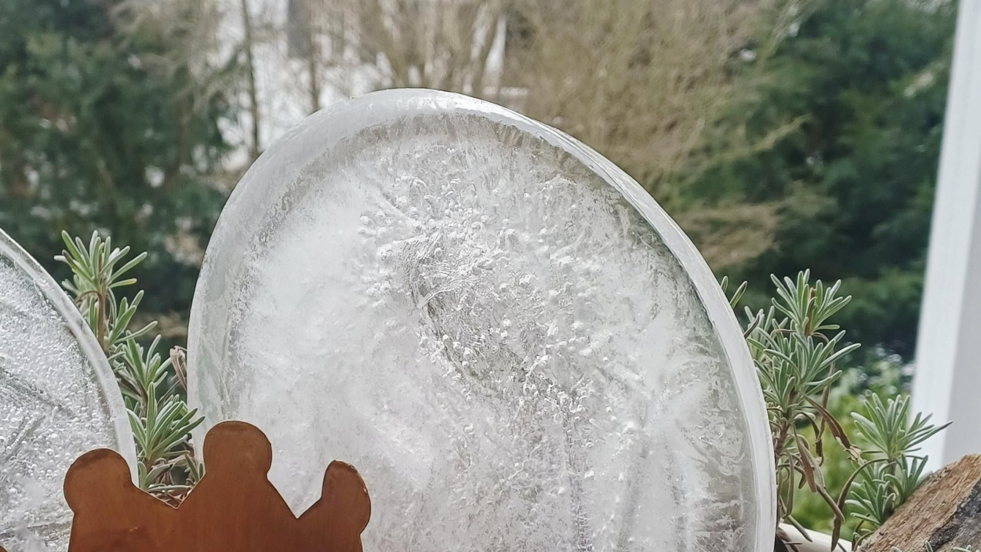 12 von 12: Januar 2026